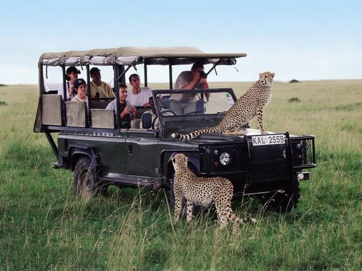 safari is a must!