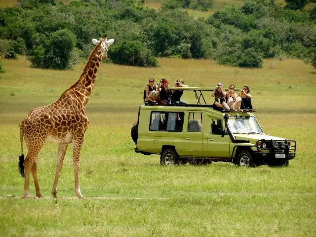 uganda wildlife safari from nigeria